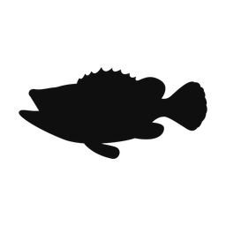 Grouper - Both | Classic | Silhouette | v2