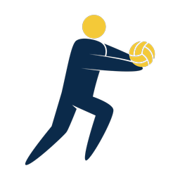 Volleyball - Male | Strike | 2 Colored | v5