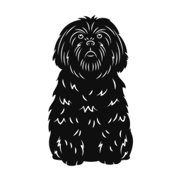 Shih Tzu - Both | Promax | Silhouette | v4