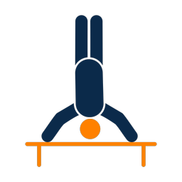 Parallel Bars - Male | Round | 2 Colored | v2