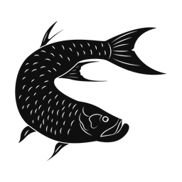 Tarpon - Both | Promax | Silhouette | v1