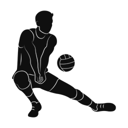 Volleyball - Male | Promax | Silhouette | v3