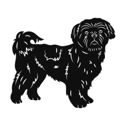 Shih Tzu - Both | Promax | Silhouette | v2