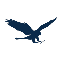 Falconry - Both | Motion | 2 Colored | v1