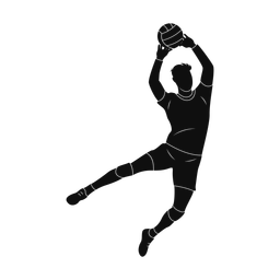 Volleyball - Male | Promax | Silhouette | v5
