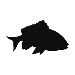 Red Snapper - Both | Classic | Silhouette | v5