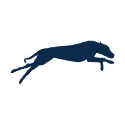 Dog Racing - Both | Motion | 2 Colored | v1