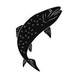 Brook Trout - Both | Promax | Silhouette | v4