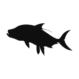 Tarpon - Both | Classic | Silhouette | v3