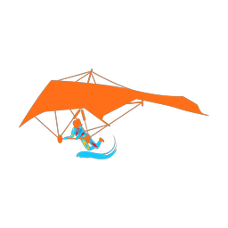Hang Gliding - Female | Splash | Colorful | v1