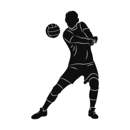 Volleyball - Male | Promax | Silhouette | v4
