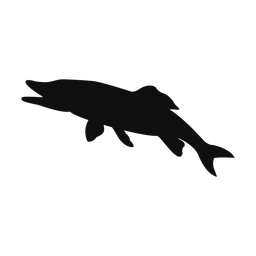 Pike - Both | Classic | Silhouette | v4