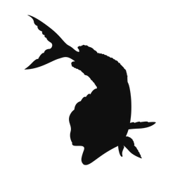 Mahi Mahi - Both | Classic | Silhouette | v5