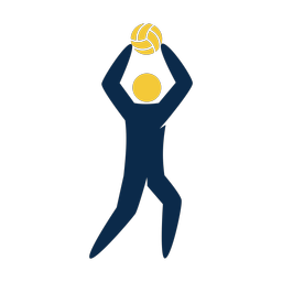 Volleyball - Male | Strike | 2 Colored | v4