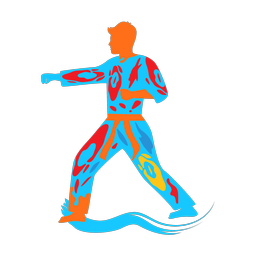 Karate - Male | Splash | Colorful | v6