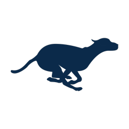 Dog Racing - Both | Motion | 2 Colored | v2