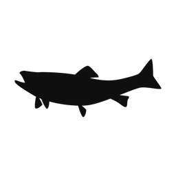 Brook Trout - Both | Classic | Silhouette | v3