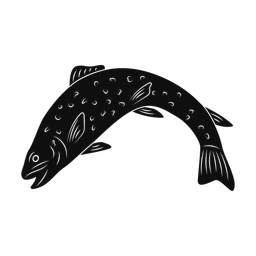 Brook Trout - Both | Promax | Silhouette | v5