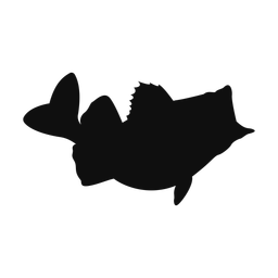 Largemouth Bass - Both | Classic | Silhouette | v4
