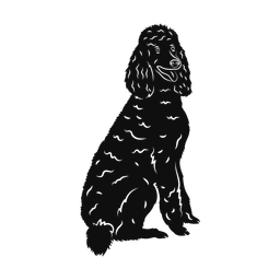 Poodle - Both | Promax | Silhouette | v4
