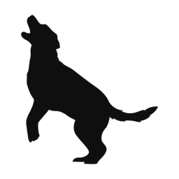 Labrador Retriever - Both | Classic | Silhouette | v5