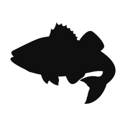 Striped Bass - Both | Classic | Silhouette | v1