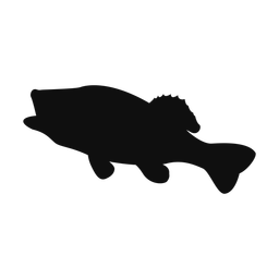 Largemouth Bass - Both | Classic | Silhouette | v3