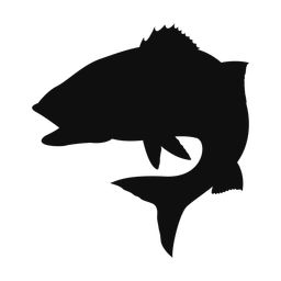 Striped Bass - Both | Classic | Silhouette | v3