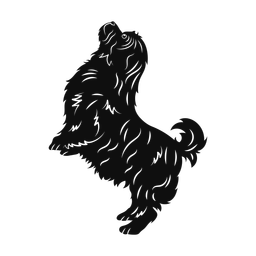 Shih Tzu - Both | Promax | Silhouette | v5