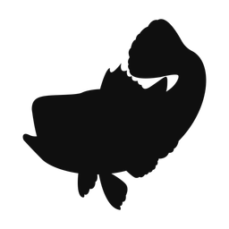 Grouper - Both | Classic | Silhouette | v4