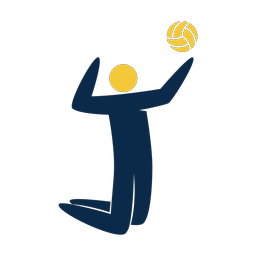Volleyball - Male | Strike | 2 Colored | v1