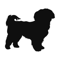 Shih Tzu - Both | Classic | Silhouette | v2