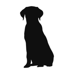 Labrador Retriever - Both | Classic | Silhouette | v4