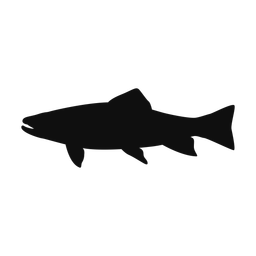 Brook Trout - Both | Classic | Silhouette | v2