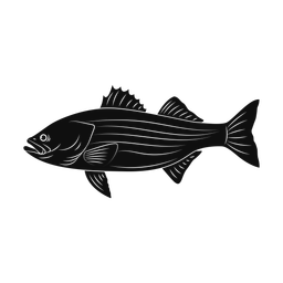 Striped Bass - Both | Promax | Silhouette | v2