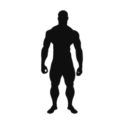 Body Building - Male | Classic | Silhouette | v1