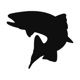 Brook Trout - Both | Classic | Silhouette | v1