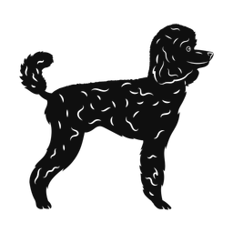 Poodle - Both | Promax | Silhouette | v2