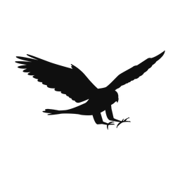 Falconry - Both | Motion | Silhouette | v1