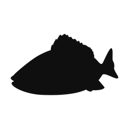 Red Snapper - Both | Classic | Silhouette | v1