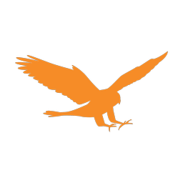 Falconry - Both | Motion | 3 Colored | v1