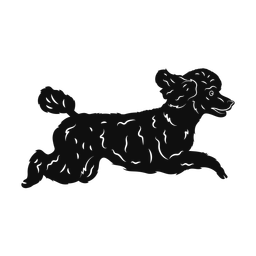 Poodle - Both | Promax | Silhouette | v3