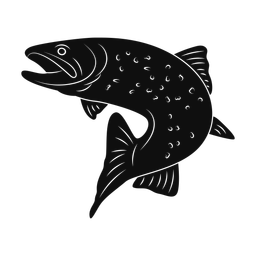 Brook Trout - Both | Promax | Silhouette | v1