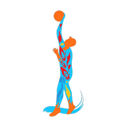 Volleyball - Male | Splash | Colorful | v2