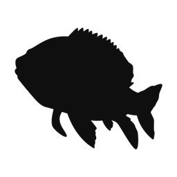 Red Snapper - Both | Classic | Silhouette | v2