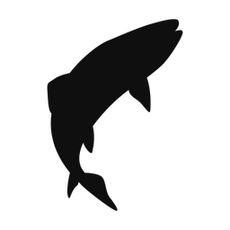 Brook Trout - Both | Classic | Silhouette | v4