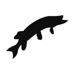 Pike - Both | Classic | Silhouette | v3