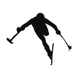 Para Downhill Skiing - Male | Classic | Silhouette | v1