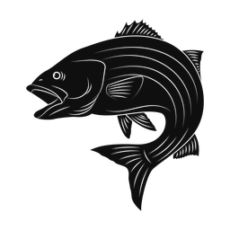 Striped Bass - Both | Promax | Silhouette | v3