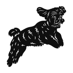 Shih Tzu - Both | Promax | Silhouette | v3